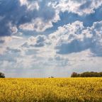 CAREER PATHS FOR B.SC COMPUTER SCIENCE GRADUATES